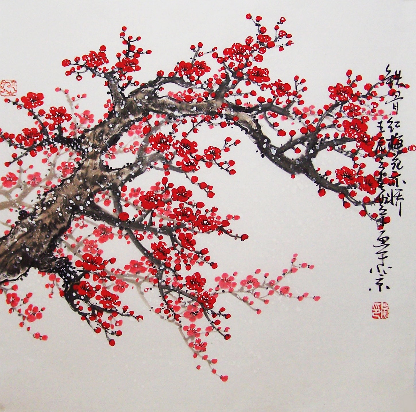 cherry blossom